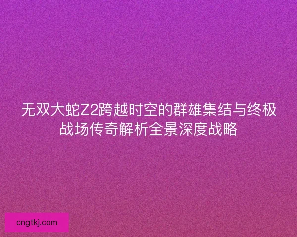 无双大蛇Z2跨越时空的群雄集结与终极战场传奇解析全景深度战略