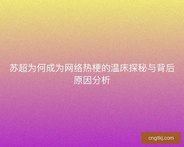 苏超为何成为网络热梗的温床探秘与背后原因分析