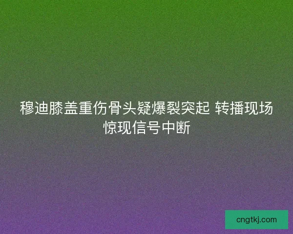 穆迪膝盖重伤骨头疑爆裂突起 转播现场惊现信号中断